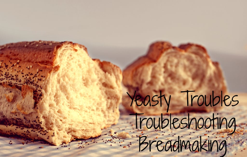 Yeasty Troubles sinamontales